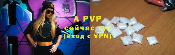 гашиш Богданович