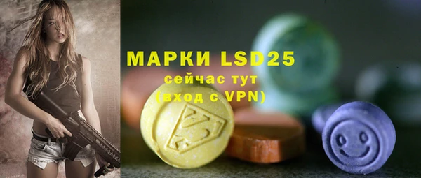 гашиш Богданович