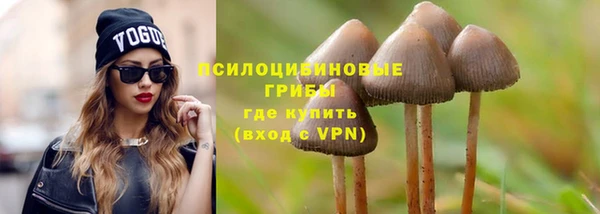 гашиш Богданович