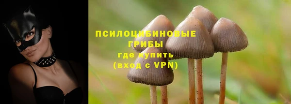 мет Богородицк