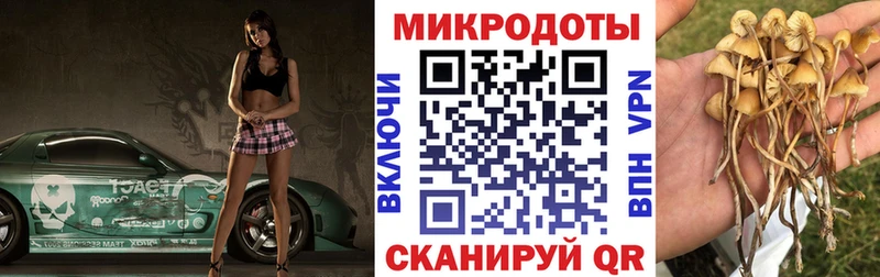 Галлюциногенные грибы MAGIC MUSHROOMS  Энем 